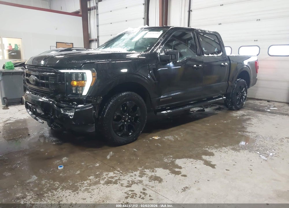 2023 FORD F-150 XLT VIN: 1FTFW1ED4PFA31088
