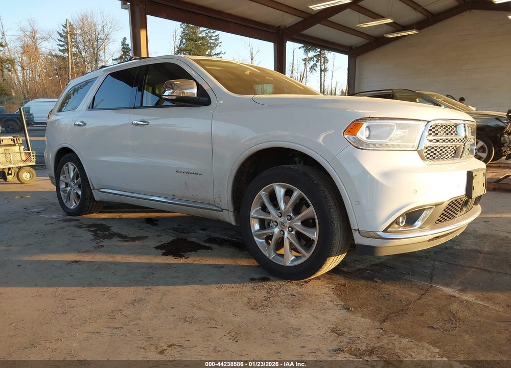 2019 DODGE DURANGO CITADEL VIN: 1C4RDJEG2KC738259