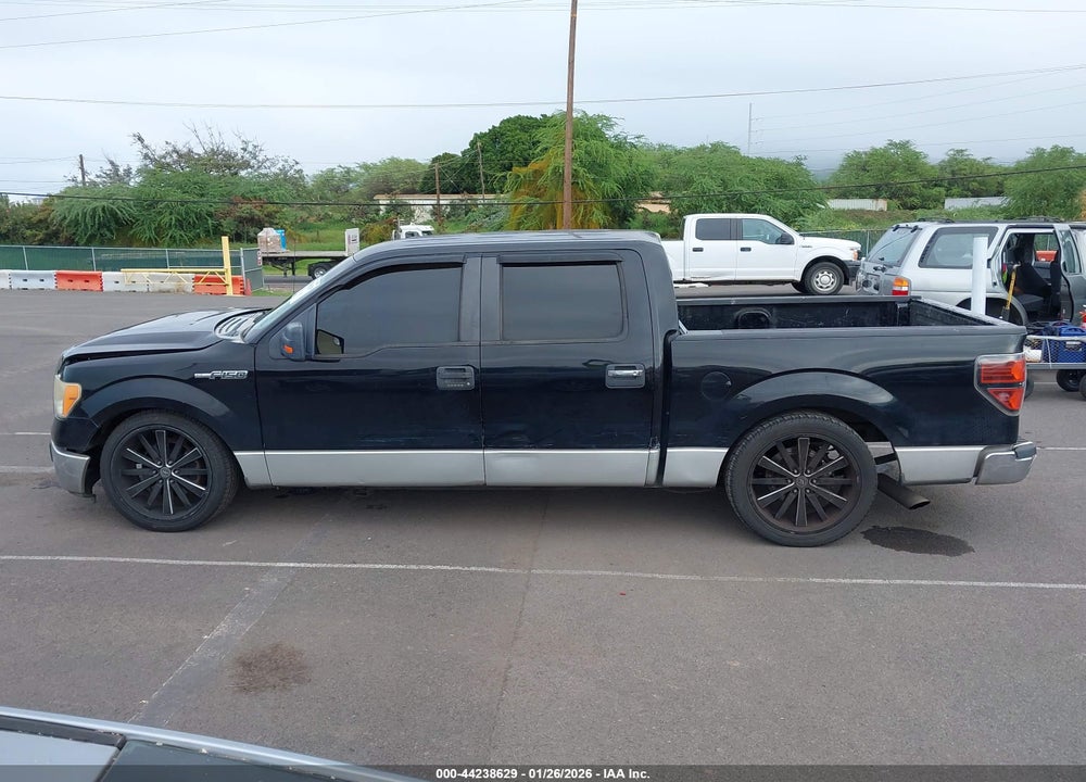 2014 FORD F-150 XLT VIN: 1FTFW1CF4EKE84863