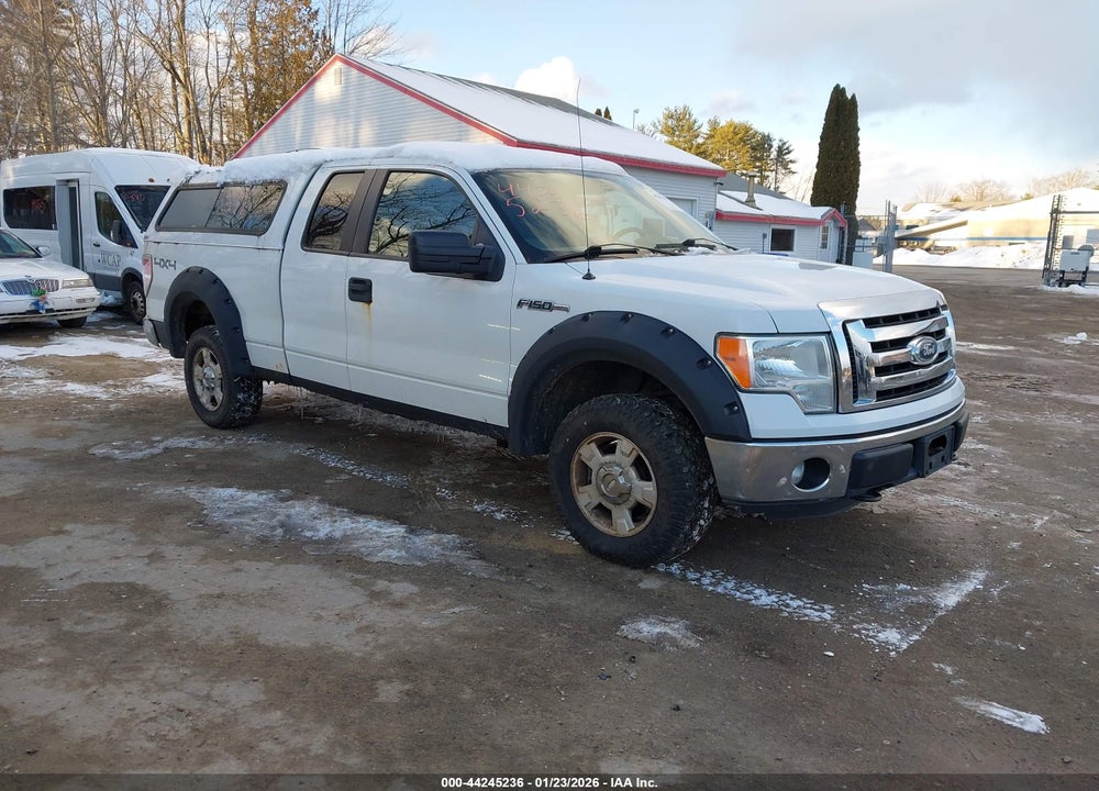 2011 FORD F-150 XLT VIN: 1FTFX1EF4BKD84803