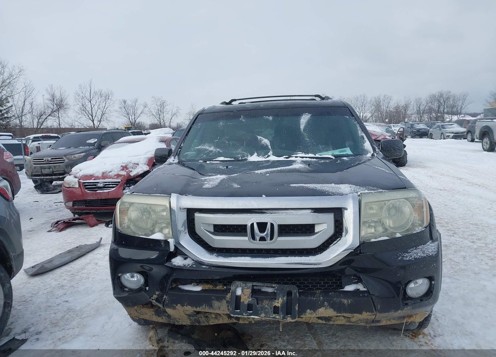 2009 HONDA PILOT EX-L VIN: 5FNYF48679B054430