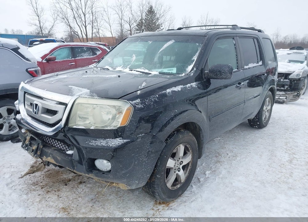 2009 HONDA PILOT EX-L VIN: 5FNYF48679B054430