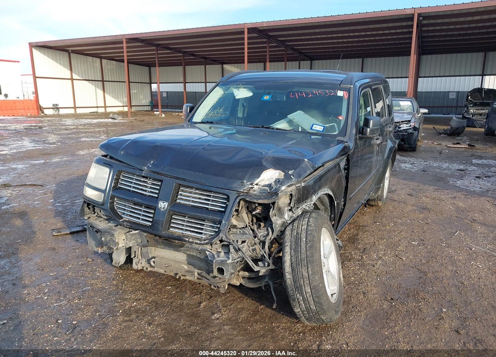 2011 DODGE NITRO SXT VIN: 1D4PT5GK7BW561339