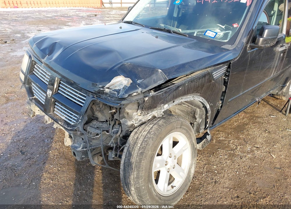 2011 DODGE NITRO SXT VIN: 1D4PT5GK7BW561339