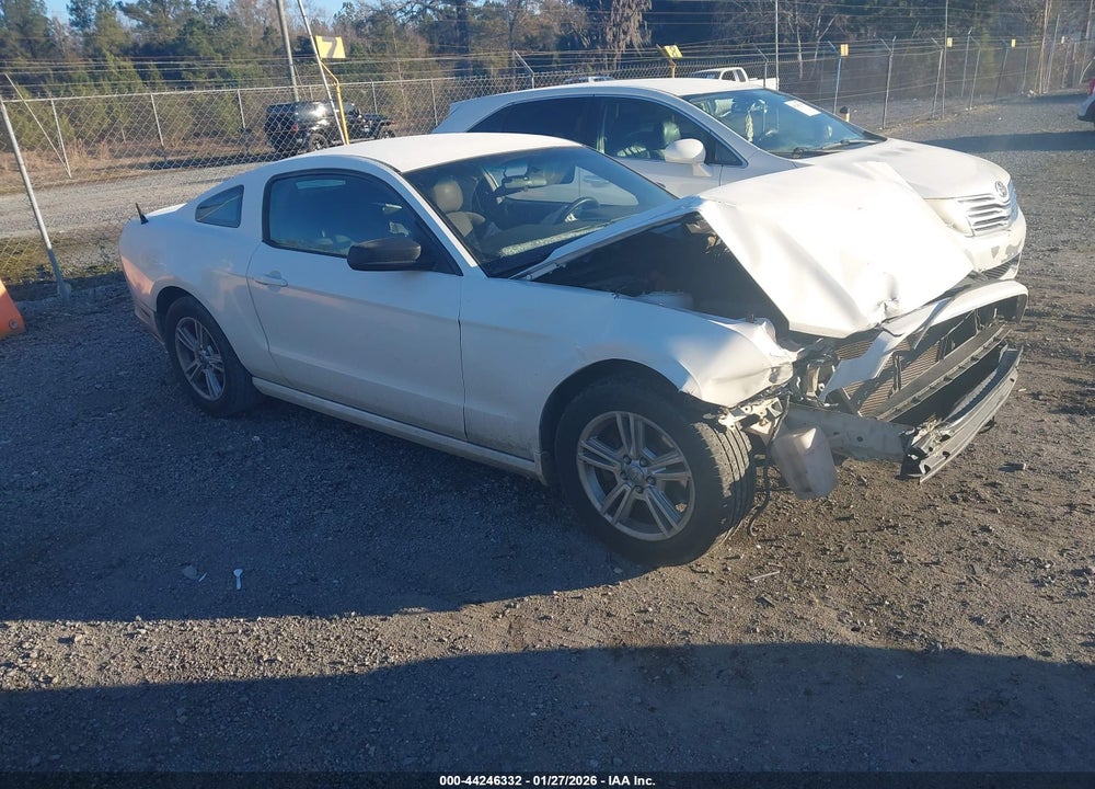 2013 FORD MUSTANG V6 VIN: 1ZVBP8AM3D5211767