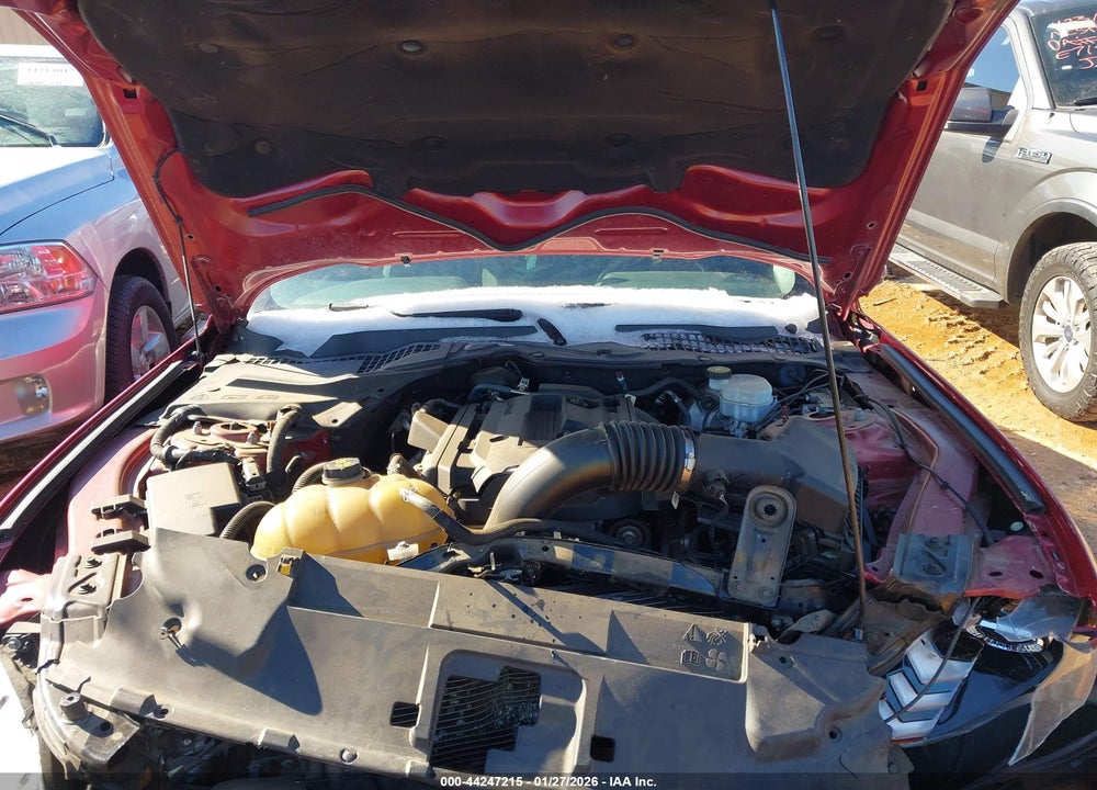 2019 FORD MUSTANG ECOBOOST VIN: 1FA6P8THXK5118817