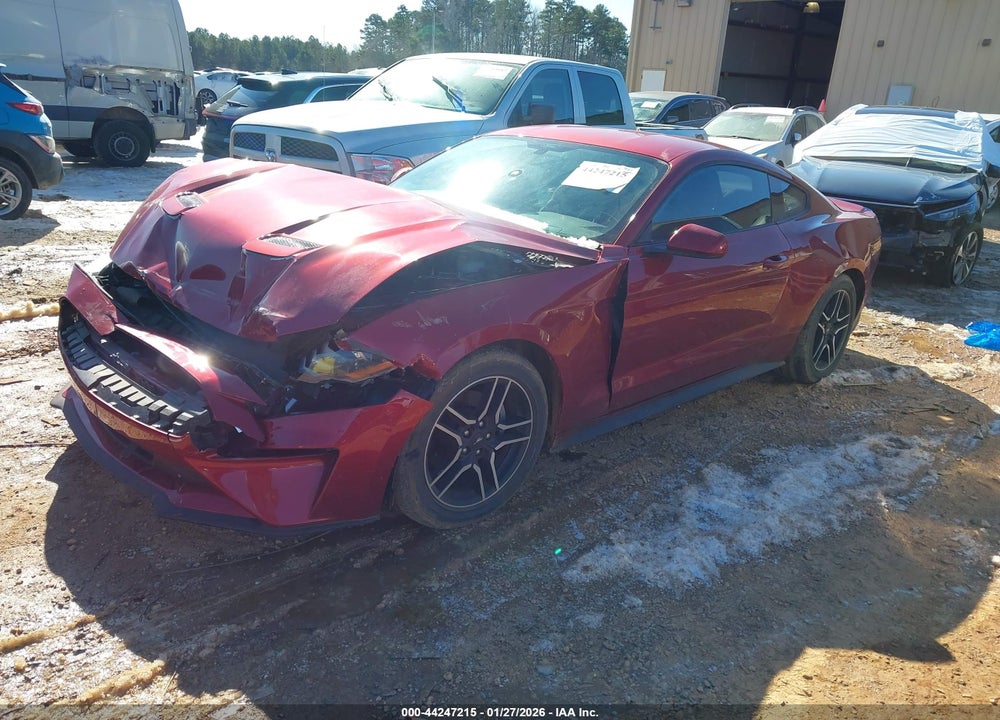 2019 FORD MUSTANG ECOBOOST VIN: 1FA6P8THXK5118817