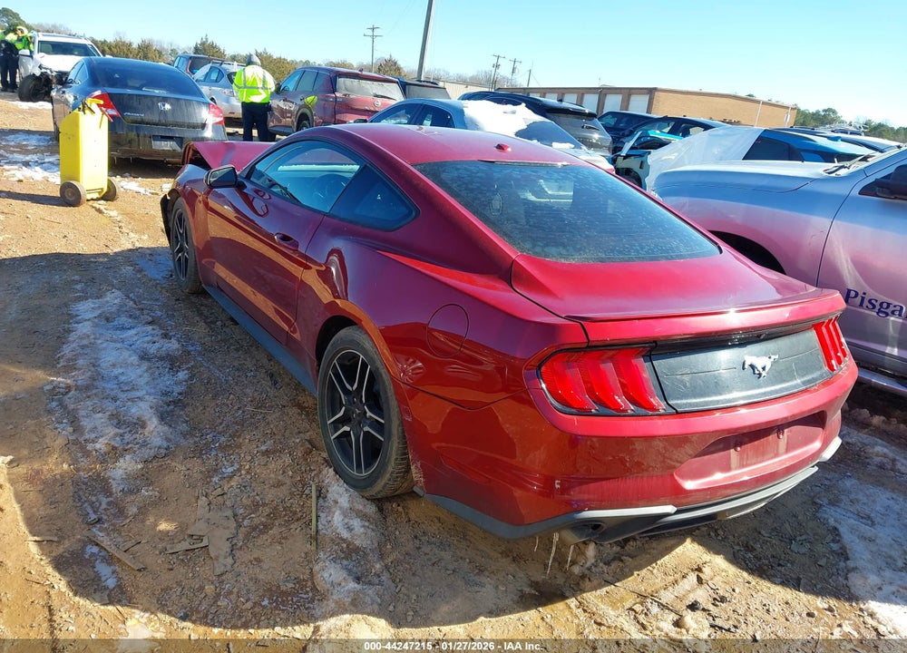 2019 FORD MUSTANG ECOBOOST VIN: 1FA6P8THXK5118817