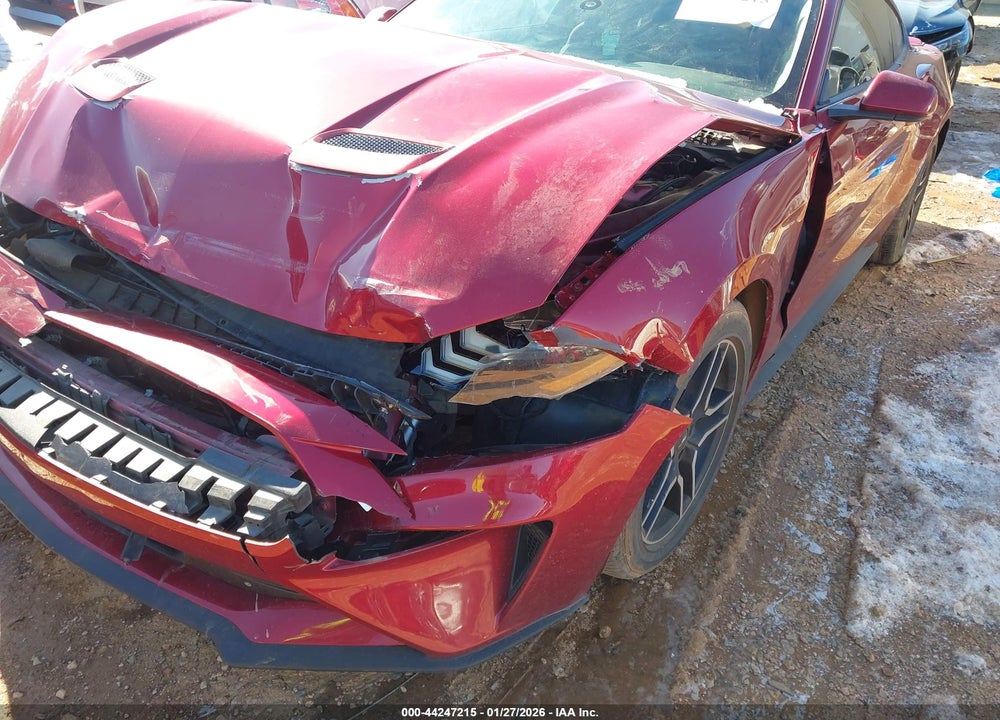 2019 FORD MUSTANG ECOBOOST VIN: 1FA6P8THXK5118817