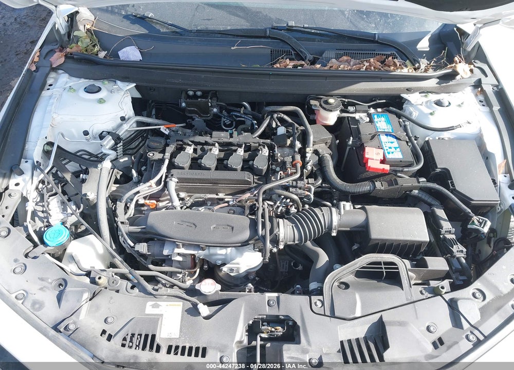 2024 HONDA ACCORD LX VIN: 1HGCY1F28RA008926