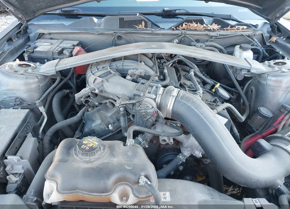 2013 FORD MUSTANG V6 VIN: 1ZVBP8AMXD5250789
