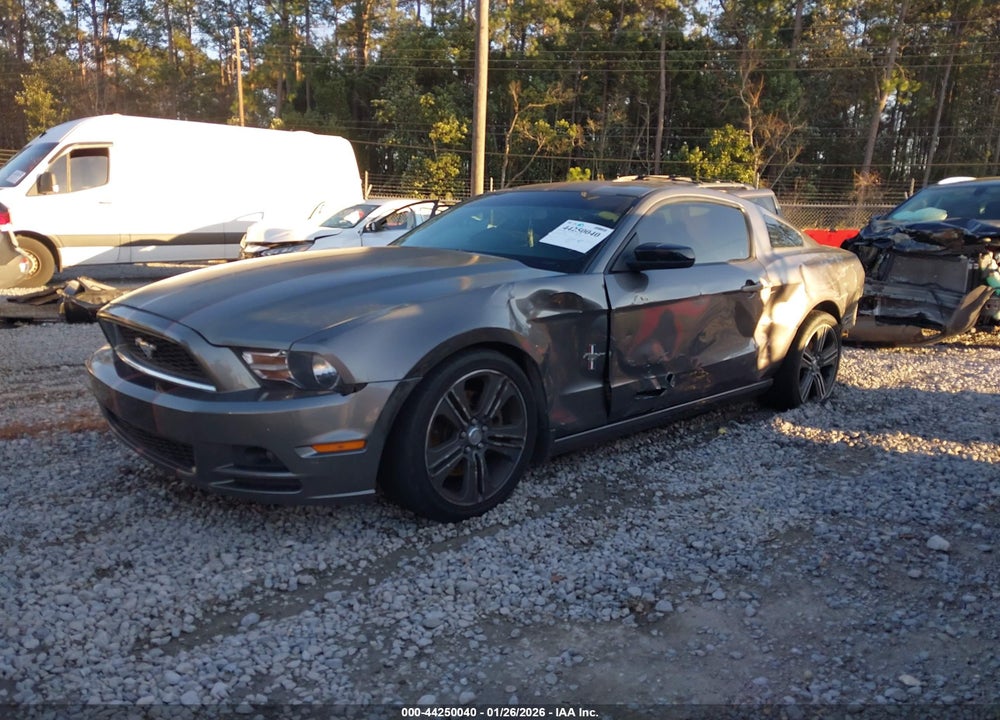 2013 FORD MUSTANG V6 VIN: 1ZVBP8AMXD5250789