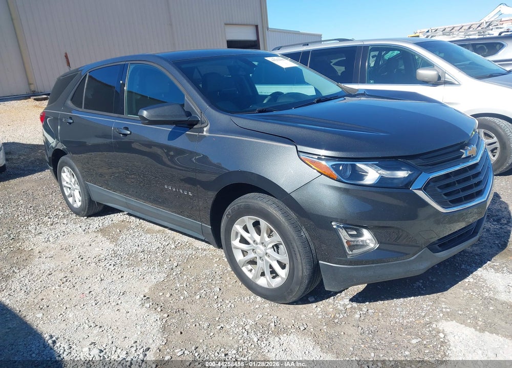2019 CHEVROLET EQUINOX LS VIN: 2GNAXHEV7K6100939