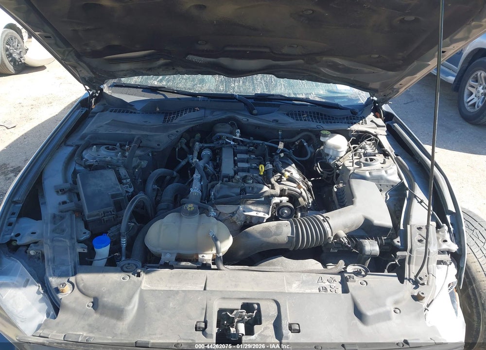 2021 FORD MUSTANG ECOBOOST FASTBACK VIN: 1FA6P8TH4M5157342