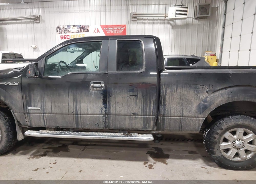 2013 FORD F-150 XLT VIN: 1FTFX1ET8DFC07429