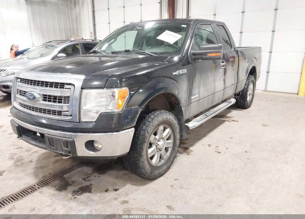 2013 FORD F-150 XLT VIN: 1FTFX1ET8DFC07429