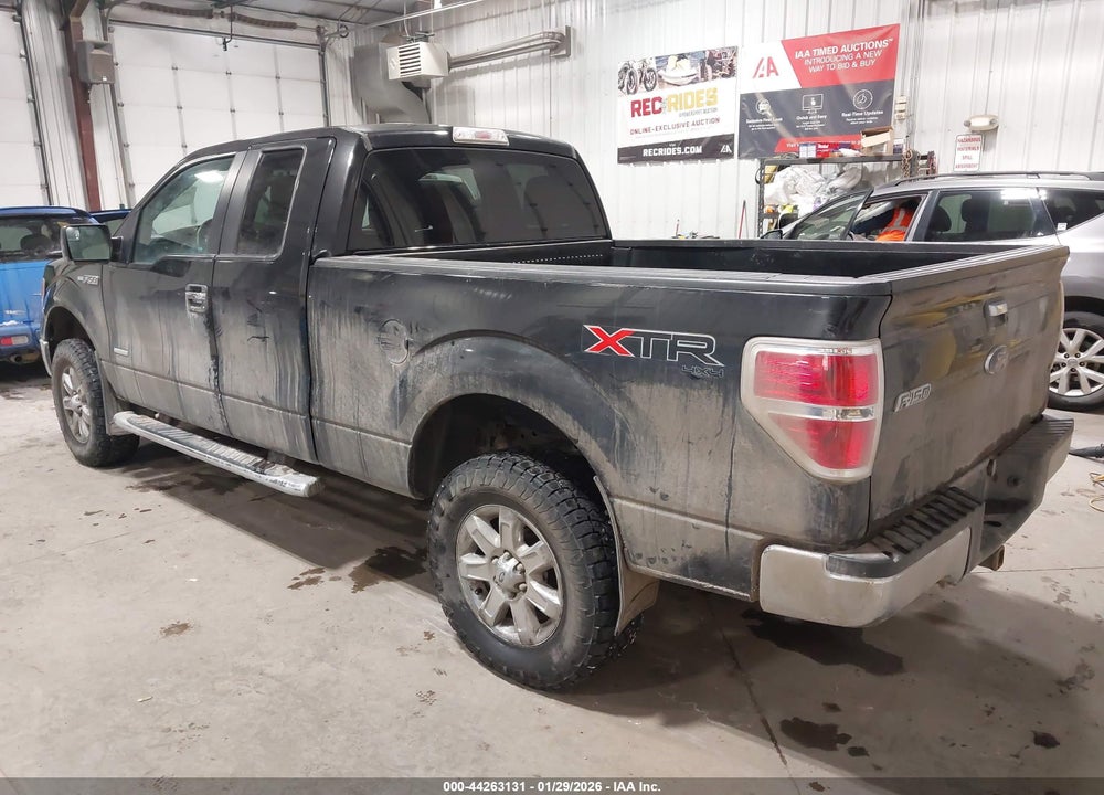 2013 FORD F-150 XLT VIN: 1FTFX1ET8DFC07429