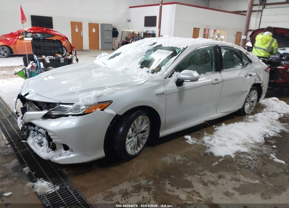 2019 TOYOTA CAMRY HYBRID XLE VIN: 4T1B21HKXKU516002