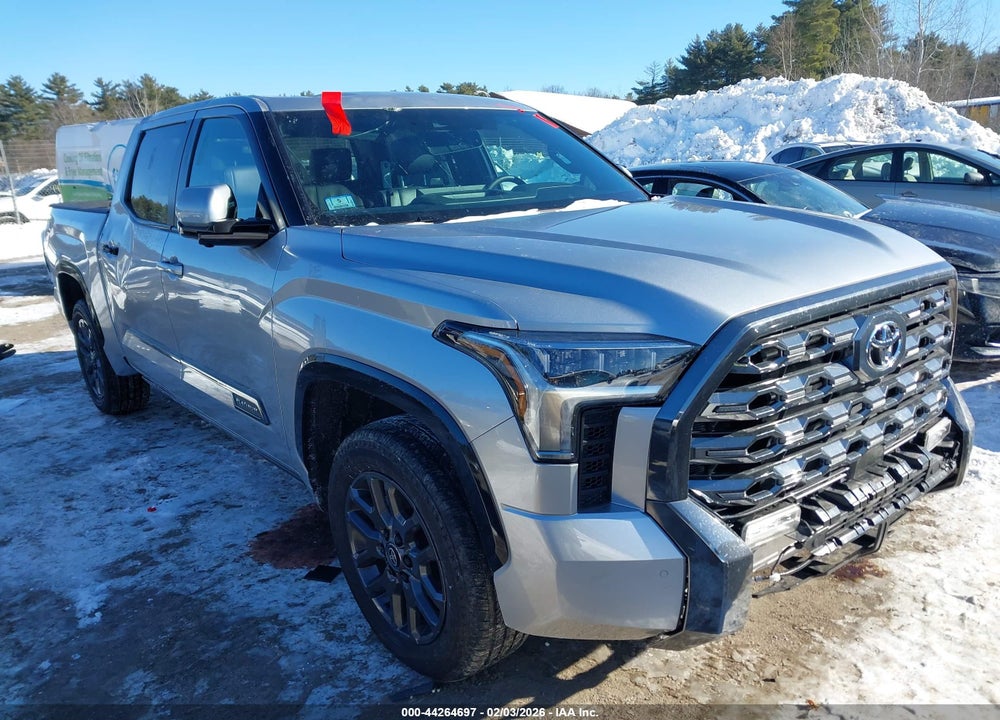 2025 TOYOTA TUNDRA PLATINUM VIN: 5TFNA5DB0SX293792
