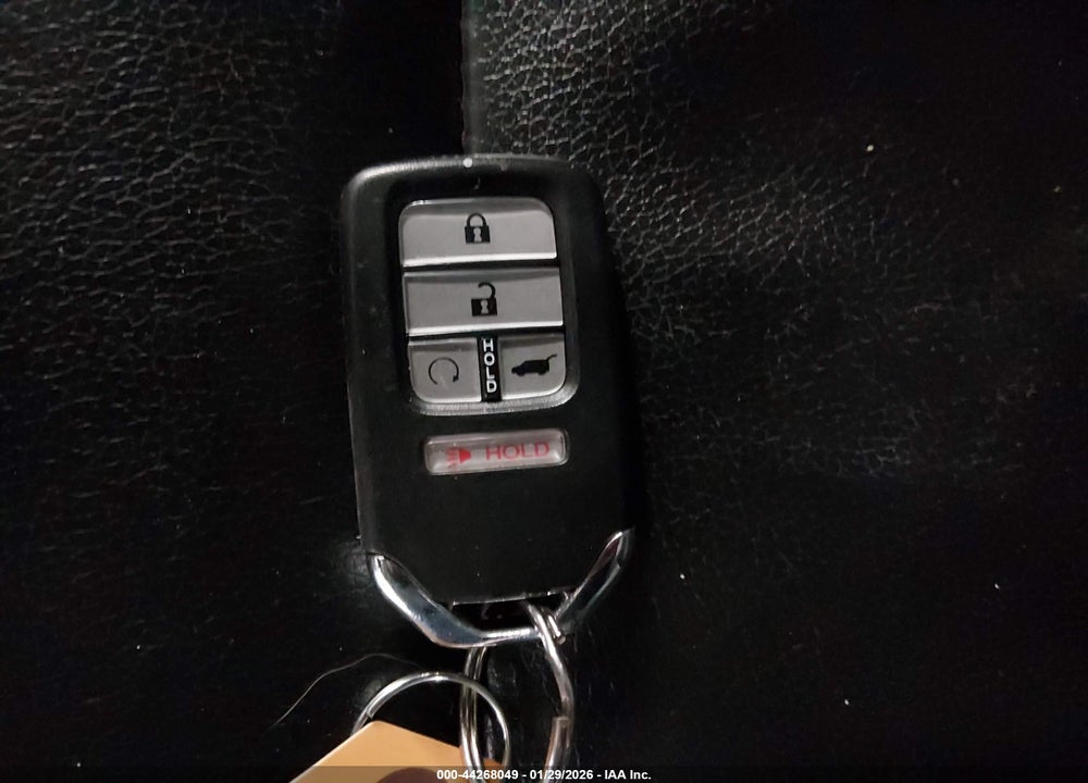 2019 HONDA PILOT EX-L VIN: 5FNYF6H51KB061057