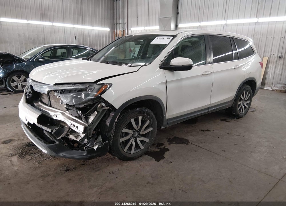 2019 HONDA PILOT EX-L VIN: 5FNYF6H51KB061057