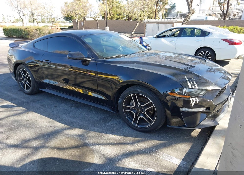 2019 FORD MUSTANG ECOBOOST PREMIUM VIN: 1FA6P8TH5K5177712