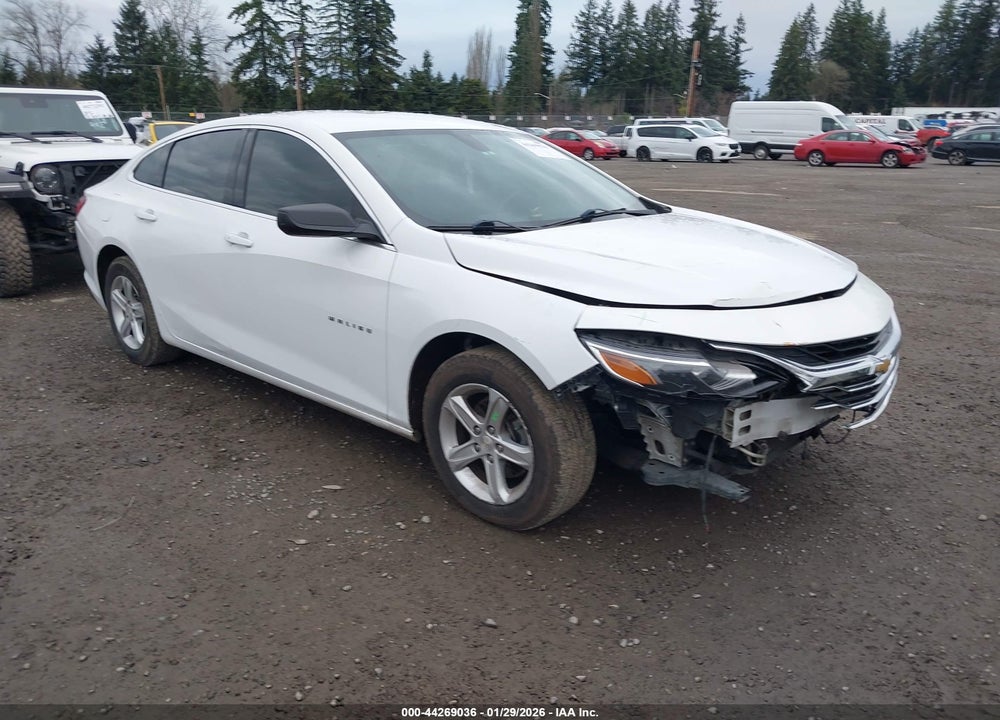 2019 CHEVROLET MALIBU 1LS VIN: 1G1ZB5STXKF224455