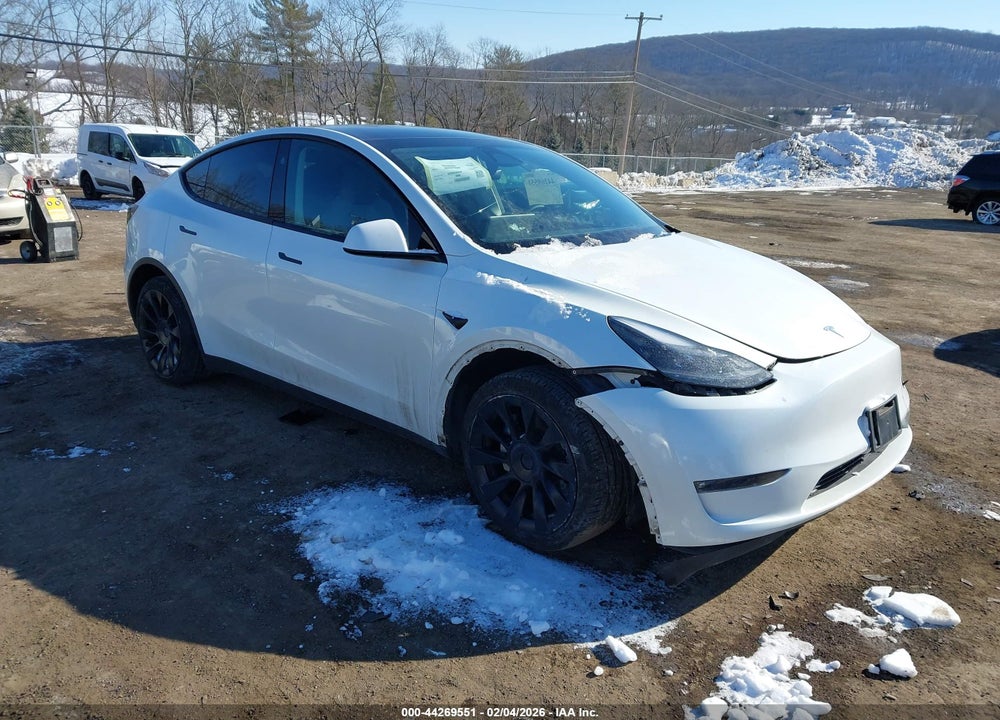 2023 TESLA MODEL Y VIN: 7SAYGDEE4PF827654