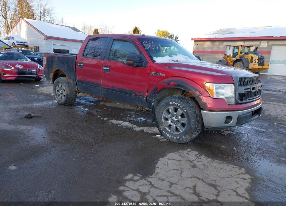 2010 FORD F-150 XL/XLT VIN: 1FTEW1E89AFB17373