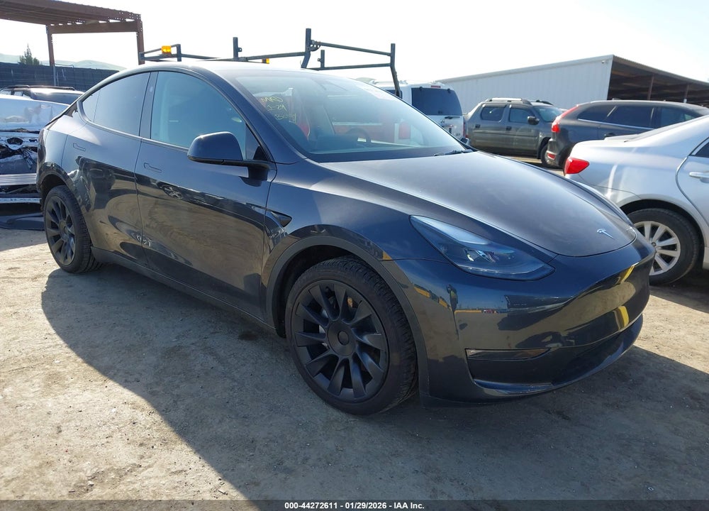 2024 TESLA MODEL Y VIN: 7SAYGDEE8RF066873