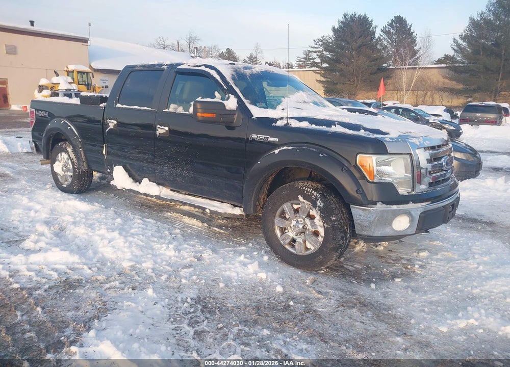 2009 FORD F-150 XL/XLT VIN: 1FTRW14899FA15585