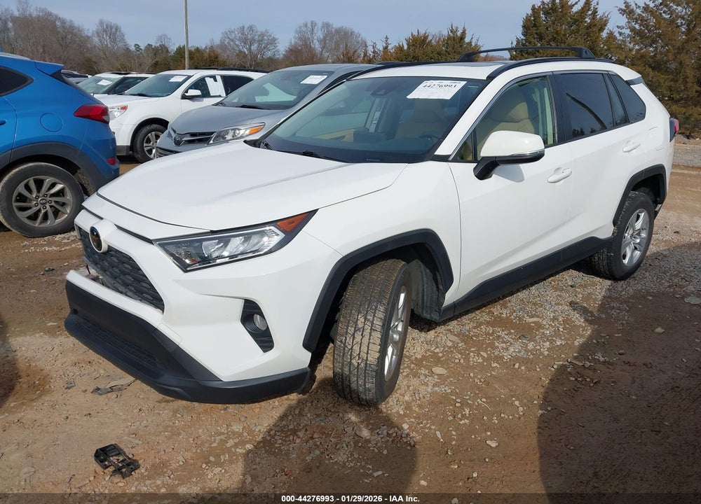 2019 TOYOTA RAV4 XLE VIN: JTMW1RFV9KD500975