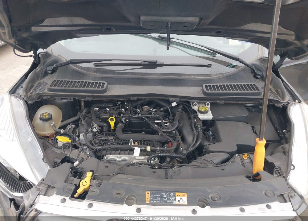 2019 FORD ESCAPE SE VIN: 1FMCU0GD4KUA17613