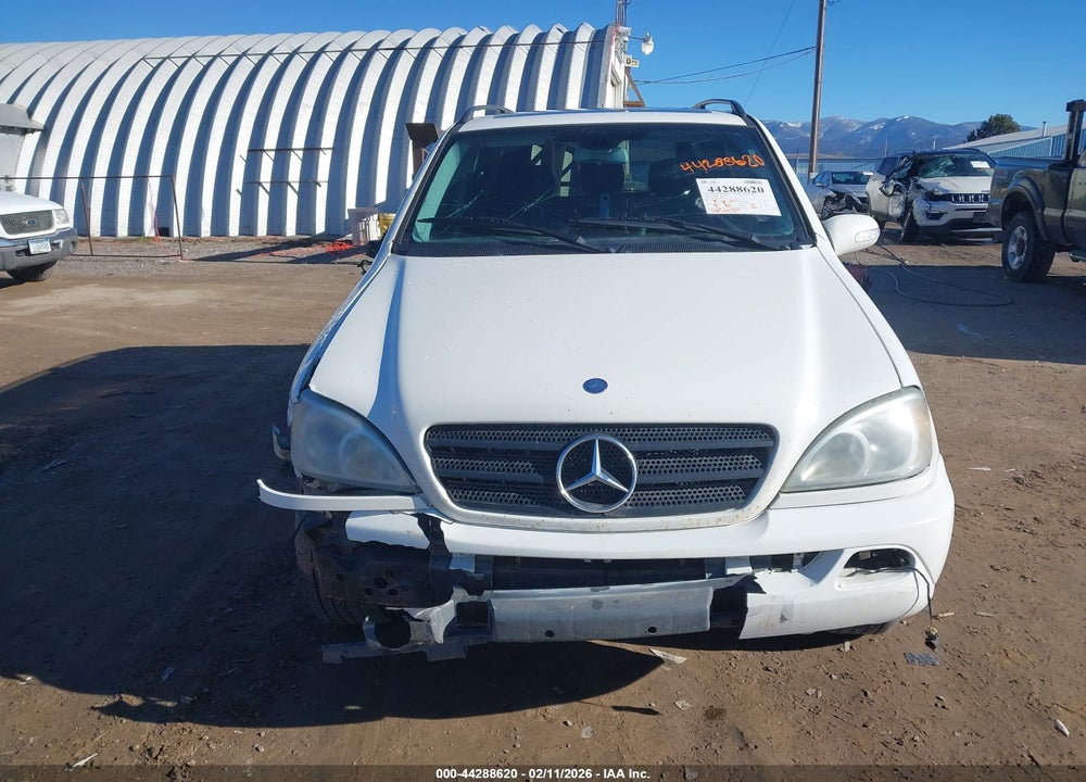 2002 MERCEDES-BENZ ML 320 VIN: 4JGAB54E12A319966
