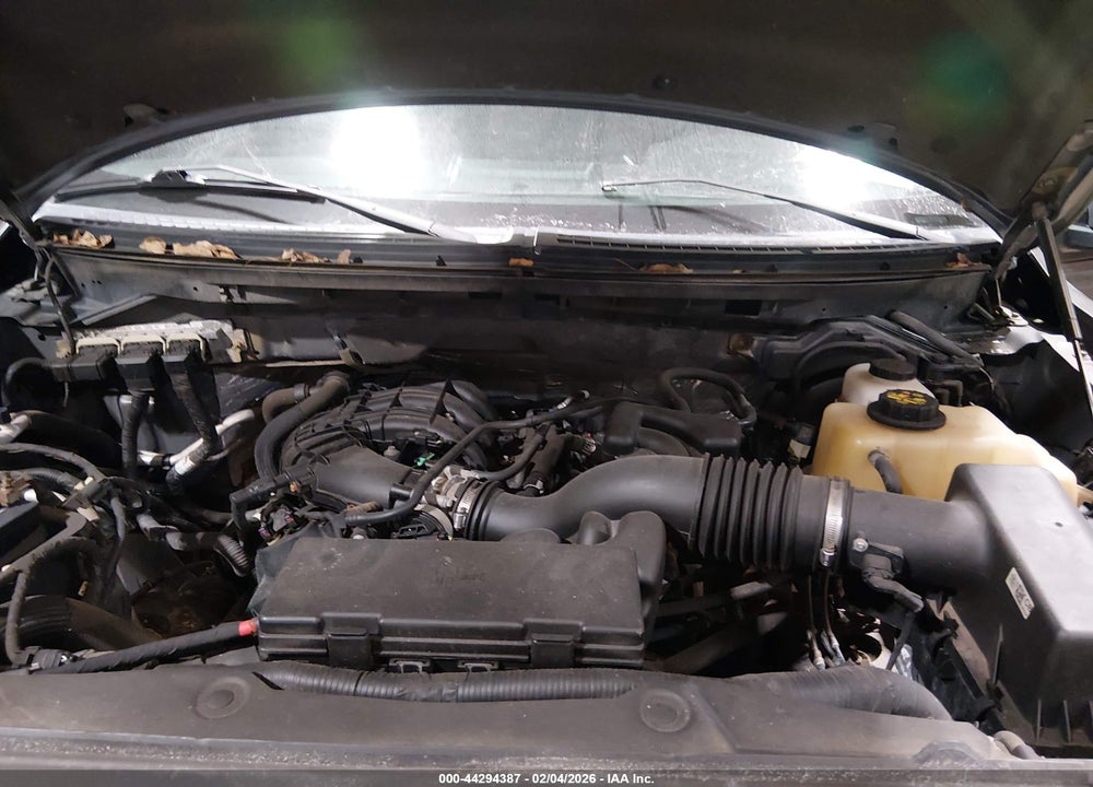 2013 FORD F-150 STX VIN: 1FTEX1EMXDKD42620