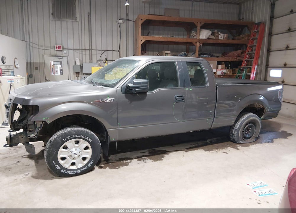 2013 FORD F-150 STX VIN: 1FTEX1EMXDKD42620