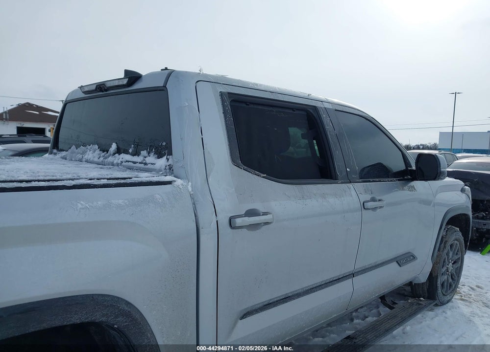 2023 TOYOTA TUNDRA PLATINUM VIN: 5TFNA5DB8PX104510
