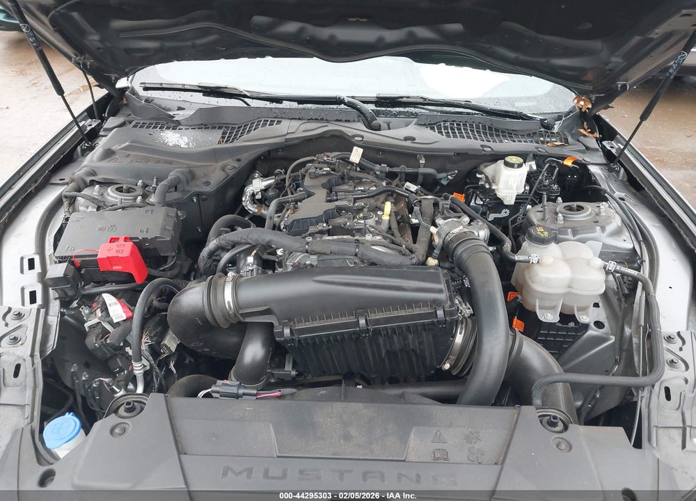 2024 FORD MUSTANG ECOBOOST FASTBACK VIN: 1FA6P8TH5R5115222