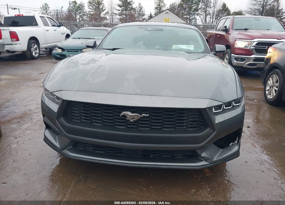 2024 FORD MUSTANG ECOBOOST FASTBACK VIN: 1FA6P8TH5R5115222