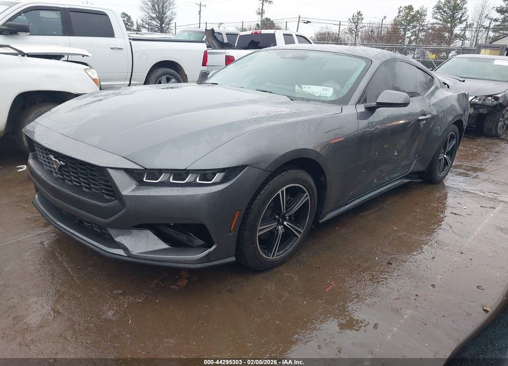 2024 FORD MUSTANG ECOBOOST FASTBACK VIN: 1FA6P8TH5R5115222