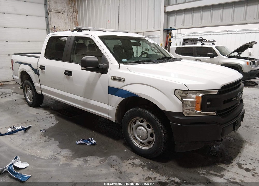 2019 FORD F-150 XL VIN: 1FTEW1E52KKE23443