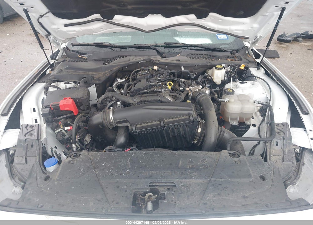 2024 FORD MUSTANG ECOBOOST FASTBACK VIN: 1FA6P8TH1R5122149