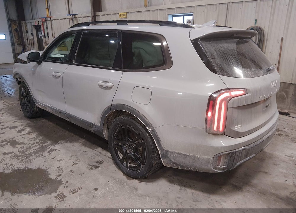 2024 KIA TELLURIDE SX PRESTIGE X-LINE VIN: 5XYP5DGC7RG542274