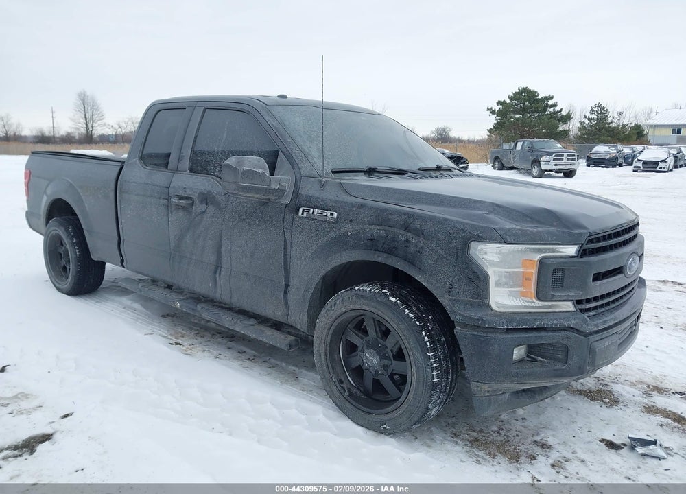 2019 FORD F-150 XL VIN: 1FTEX1CB4KKC28580