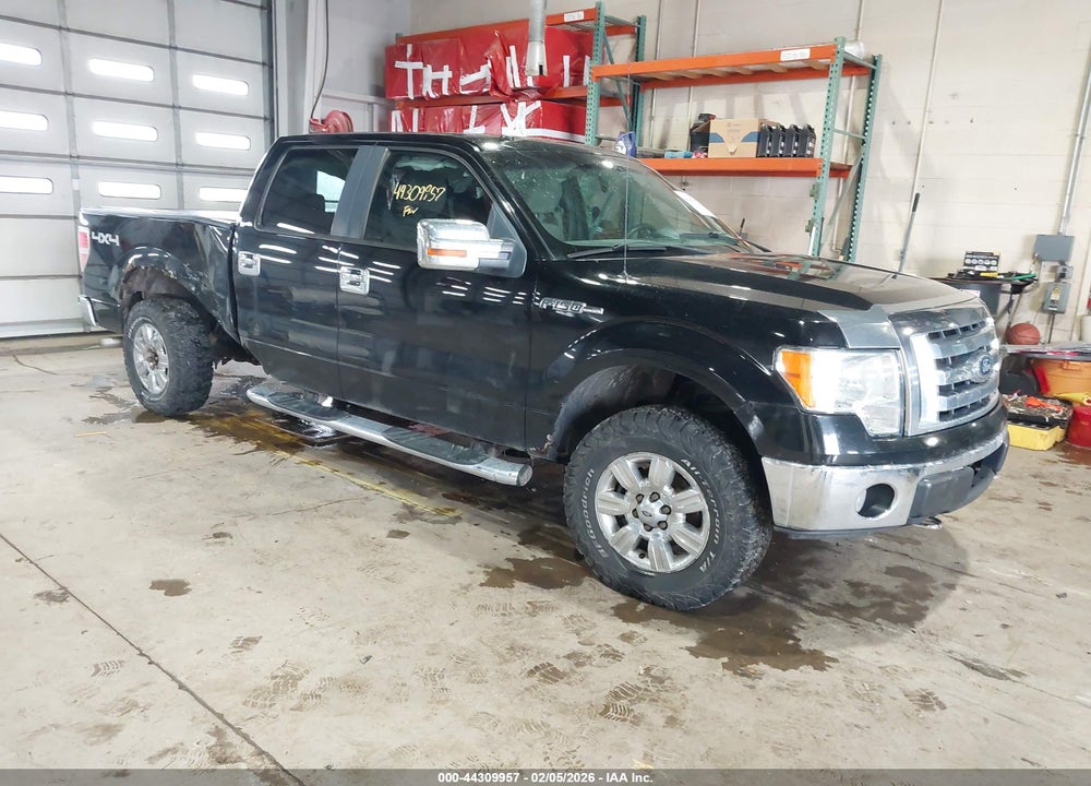 2009 FORD F-150 XLT VIN: 1FTPW14V49FB35484