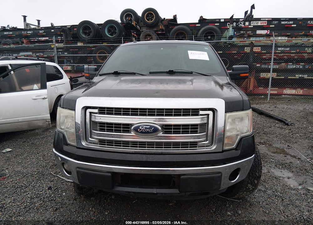 2013 FORD F-150 XLT VIN: 1FTFW1EF4DKD55081