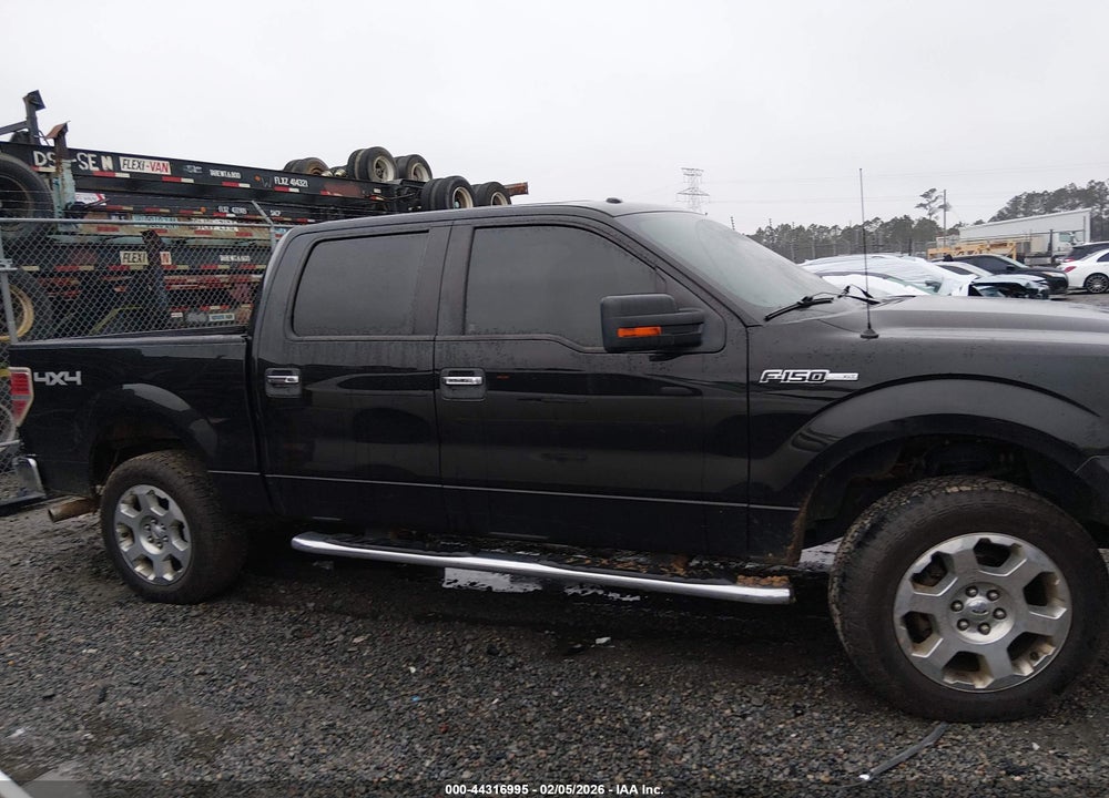 2013 FORD F-150 XLT VIN: 1FTFW1EF4DKD55081