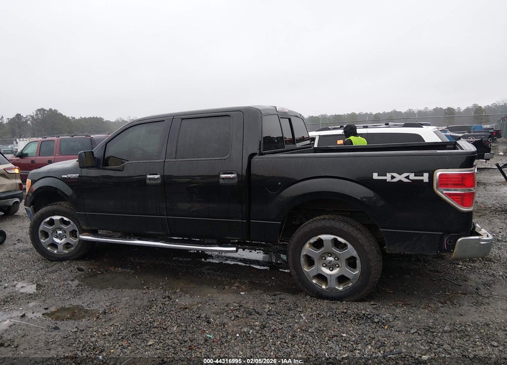 2013 FORD F-150 XLT VIN: 1FTFW1EF4DKD55081