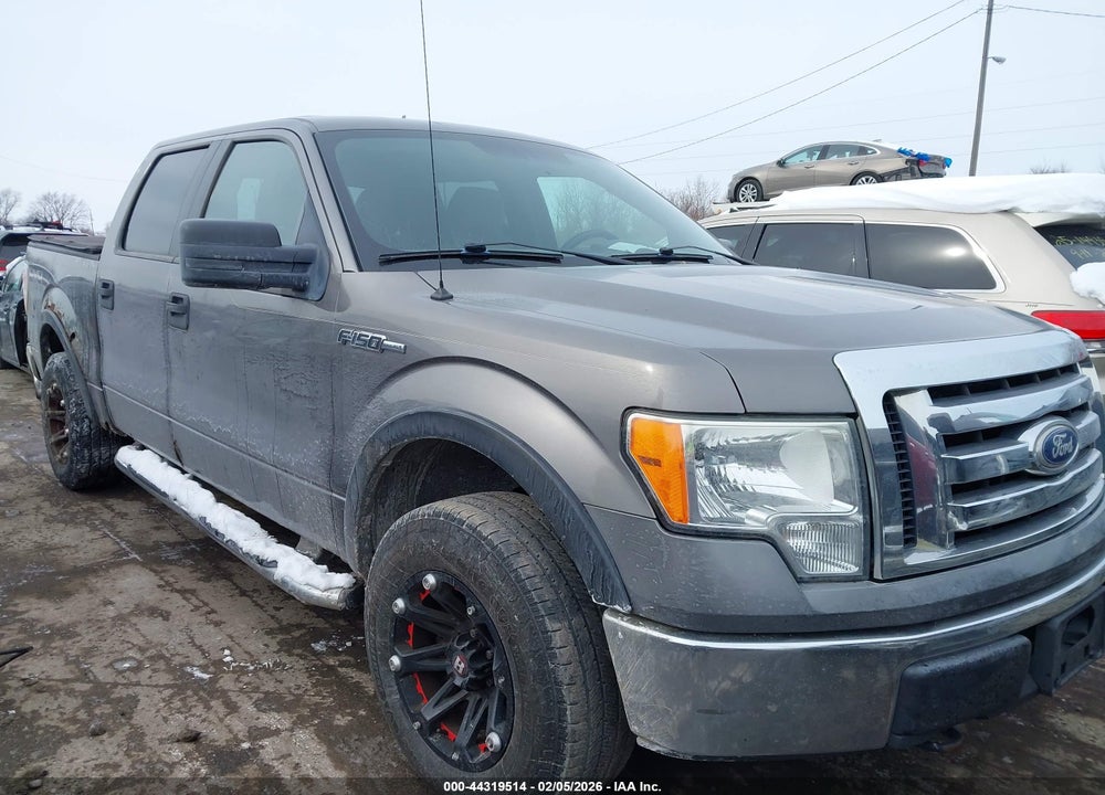 2010 FORD F-150 XL/XLT VIN: 1FTEW1E81AFA90380
