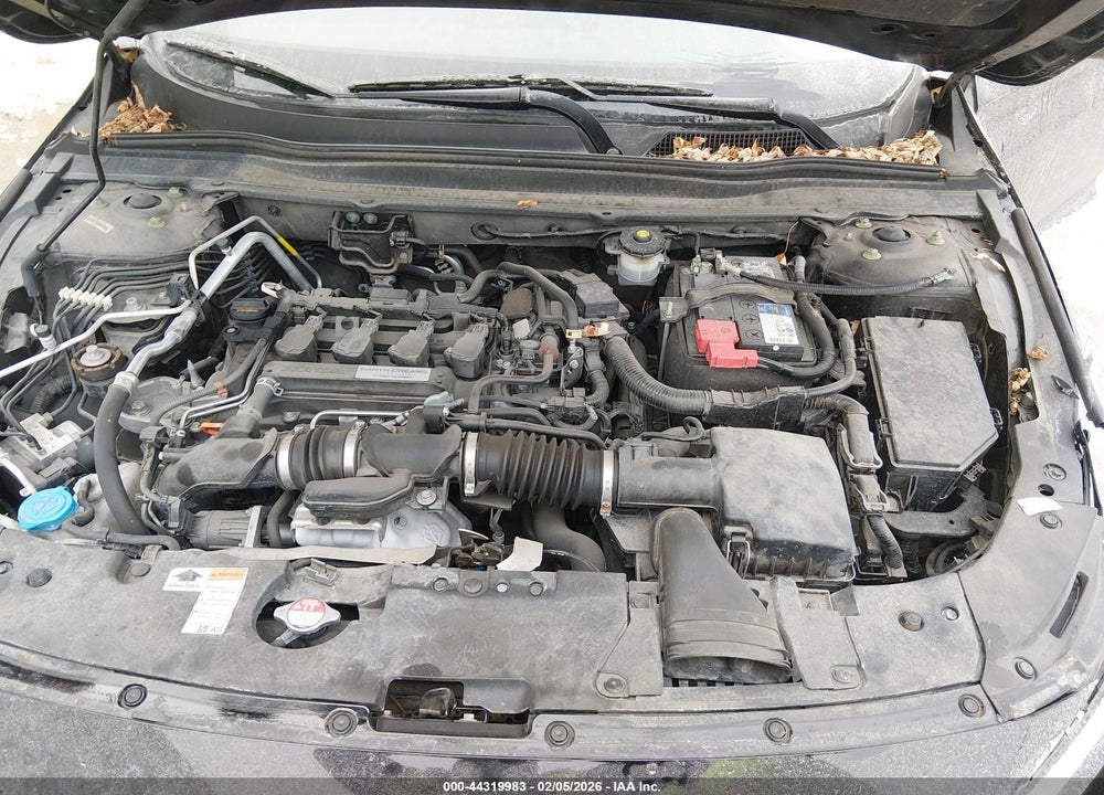 2019 HONDA ACCORD LX VIN: 1HGCV1F1XKA009663